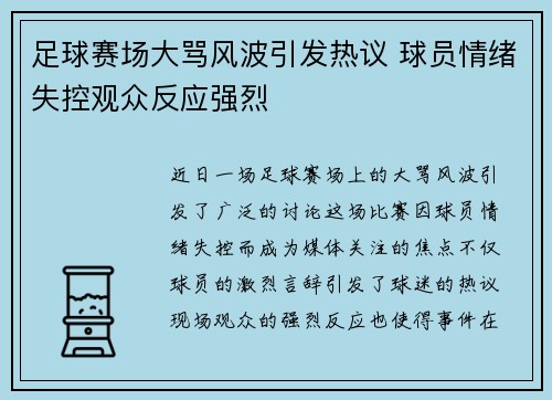 足球赛场大骂风波引发热议 球员情绪失控观众反应强烈