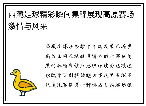 西藏足球精彩瞬间集锦展现高原赛场激情与风采