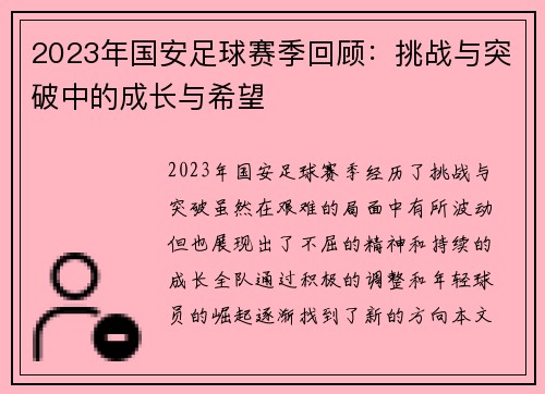 2023年国安足球赛季回顾：挑战与突破中的成长与希望