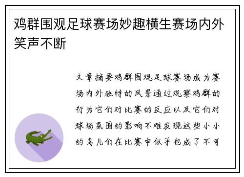 鸡群围观足球赛场妙趣横生赛场内外笑声不断