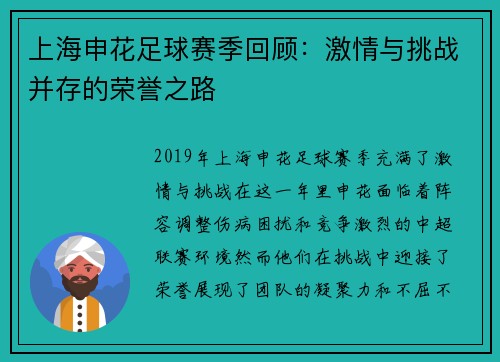 上海申花足球赛季回顾：激情与挑战并存的荣誉之路