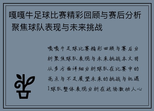 嘎嘎牛足球比赛精彩回顾与赛后分析 聚焦球队表现与未来挑战