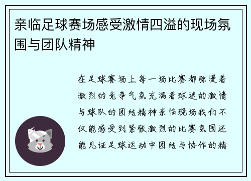亲临足球赛场感受激情四溢的现场氛围与团队精神
