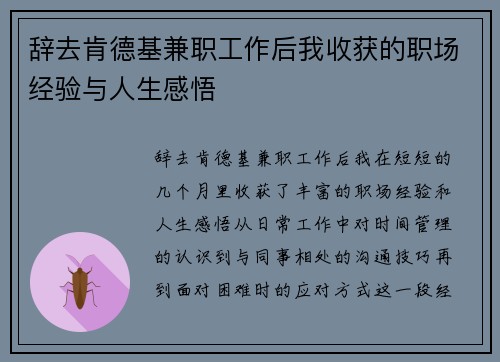 辞去肯德基兼职工作后我收获的职场经验与人生感悟