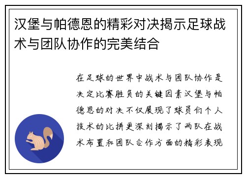 汉堡与帕德恩的精彩对决揭示足球战术与团队协作的完美结合